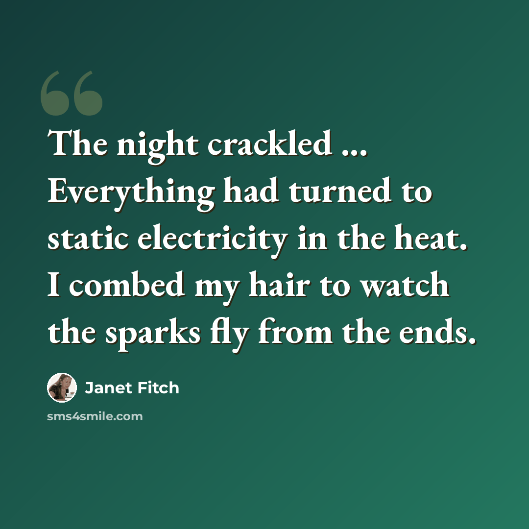 “The night crackled ... Everything had turned to static electricity in the heat. I combed my hair to watch the sparks fly from the ends.” quote by Janet Fitch