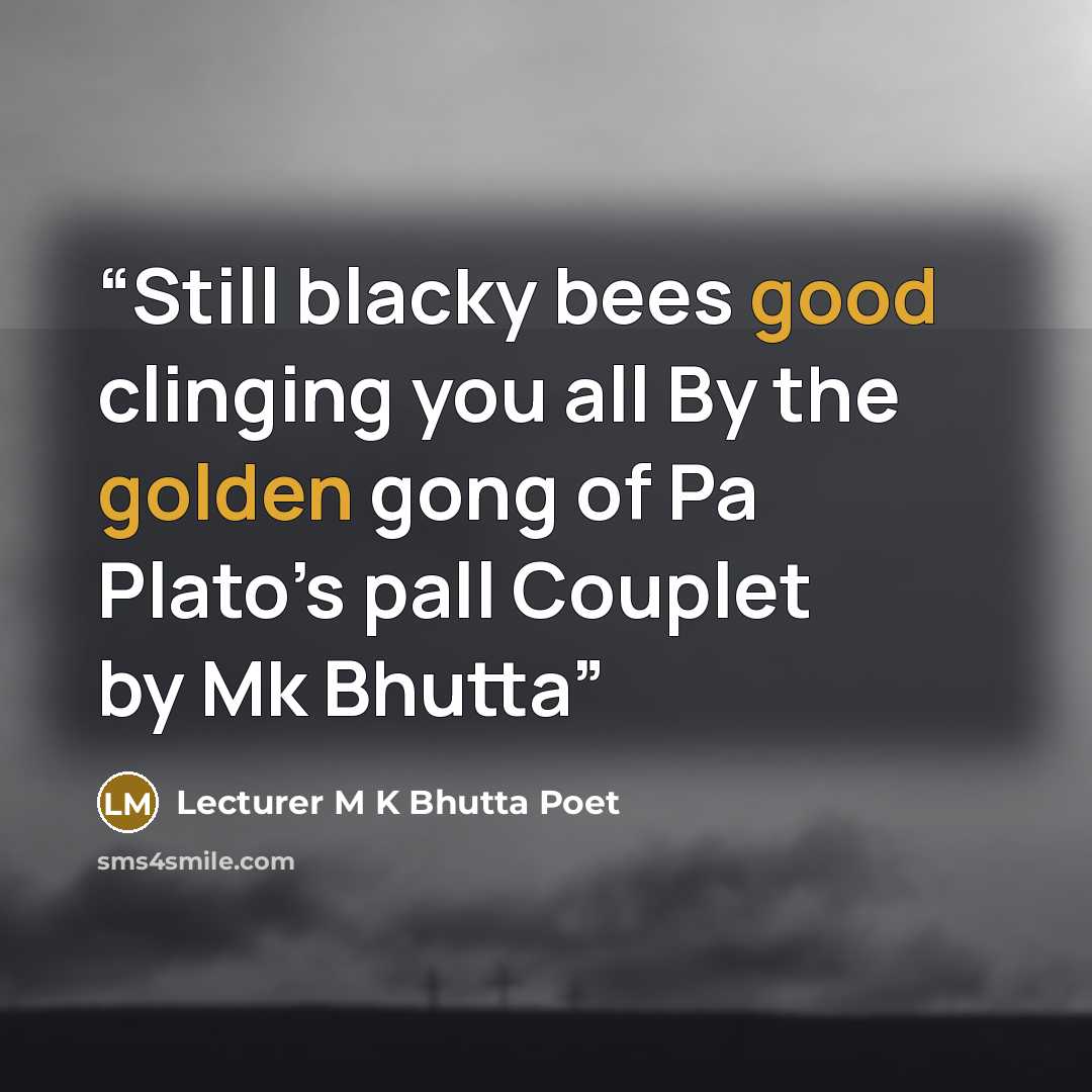 “Still blacky bees good clinging you all By the golden gong of Pa Plato’s pall Couplet by Mk Bhutta” quote by Lecturer M K Bhutta Poet