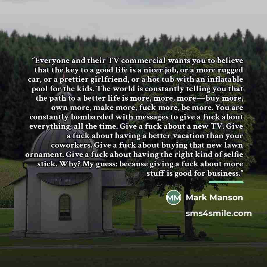 “Everyone and their TV commercial wants you to believe that the key to a good life is a nicer job, or a more rugged car, or a prettier girlfriend, or a hot tub with an inflatable pool for the kids. The world is constantly telling you that the path to a better life is more, more, more—buy more, own…” quote by Mark Manson