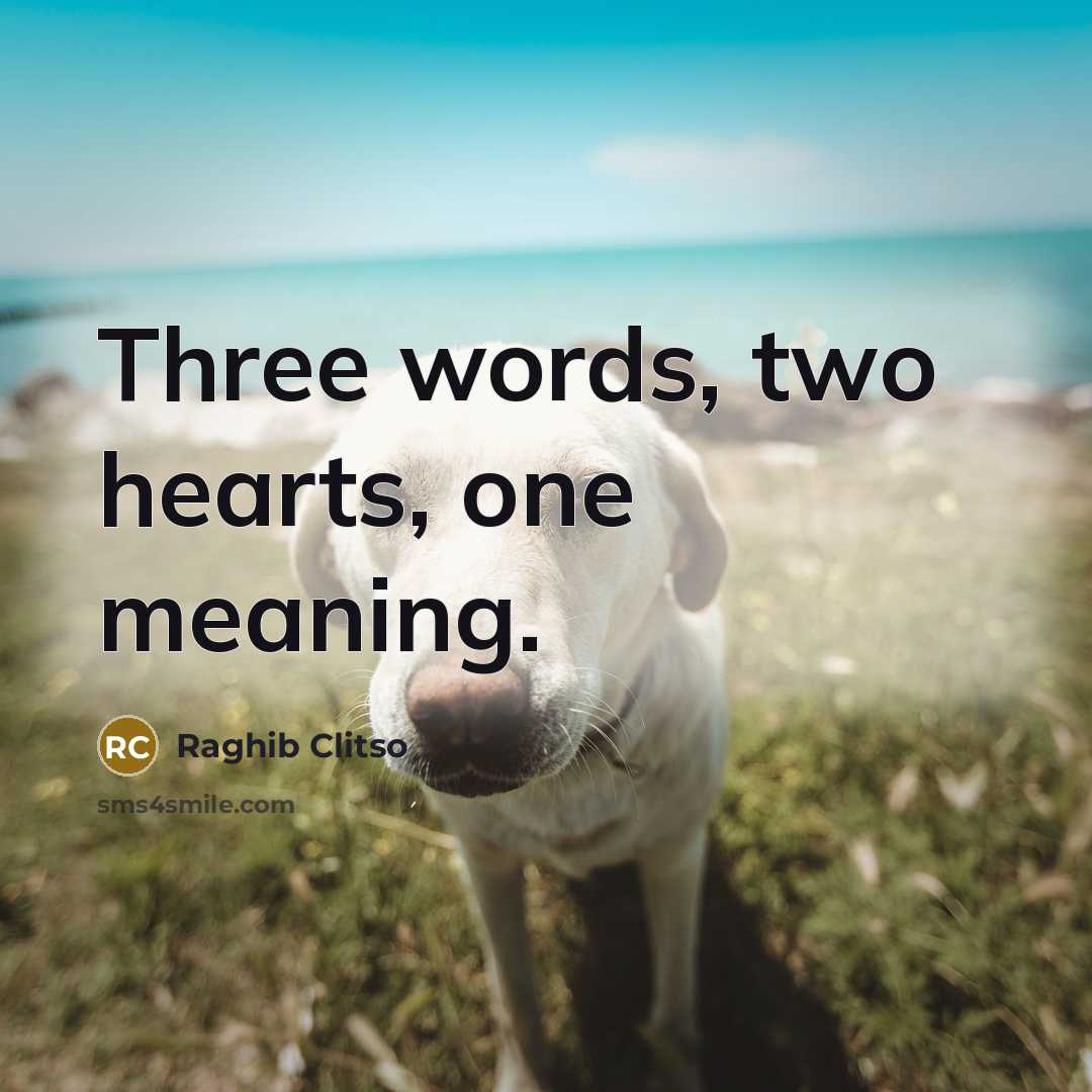 “Three words, two hearts, one meaning.” quote by Raghib Clitso