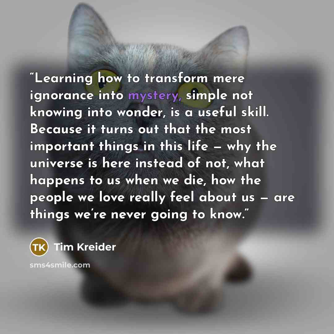 “Learning how to transform mere ignorance into mystery, simple not knowing into wonder, is a useful skill. Because it turns out that the most important things in this life — why the universe is here instead of not, what happens to us when we die, how the people we love really feel about us — are…” quote by Tim Kreider
