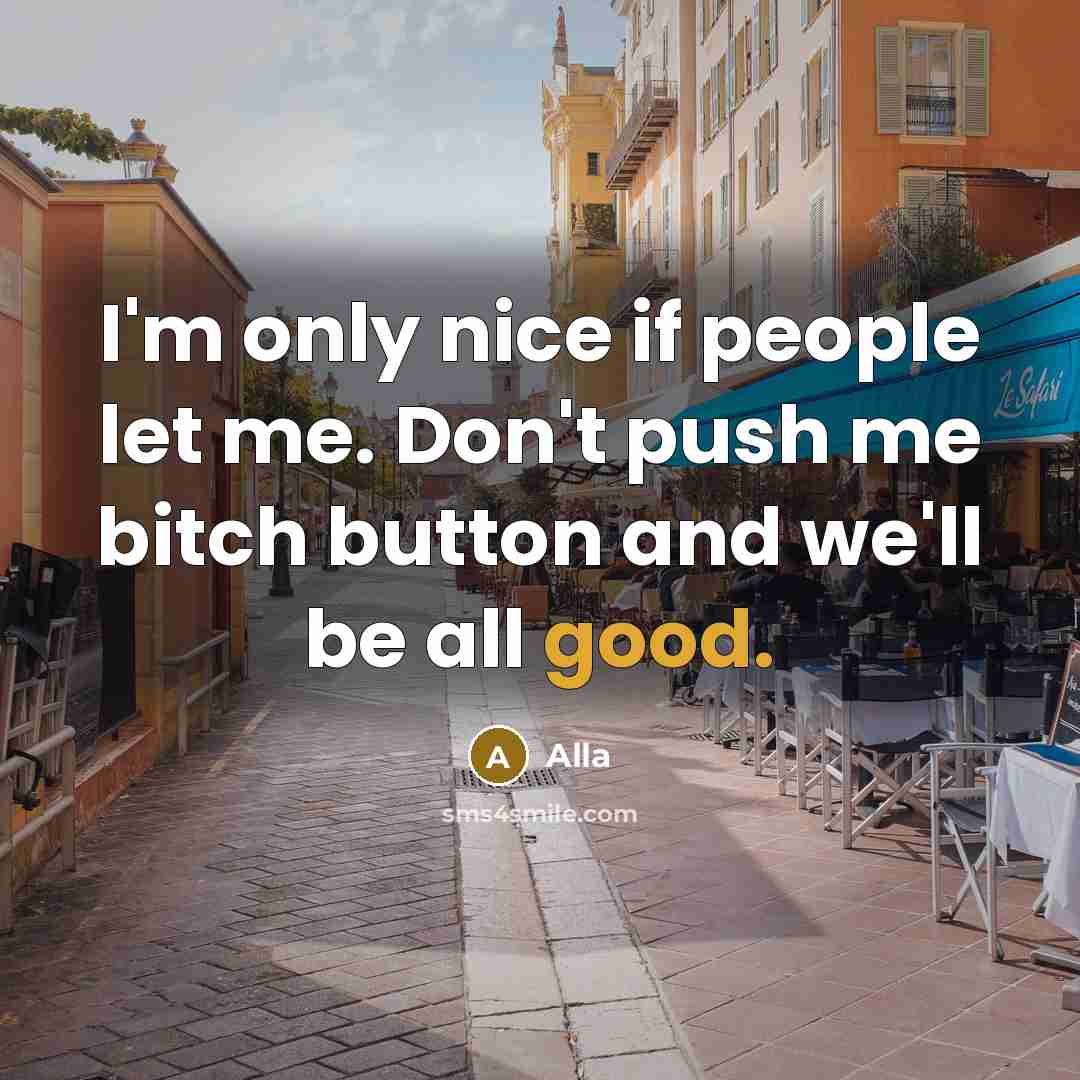 “I'm only nice if people let me. Don't push me bitch button and we'll be all good.” quote by Alla
