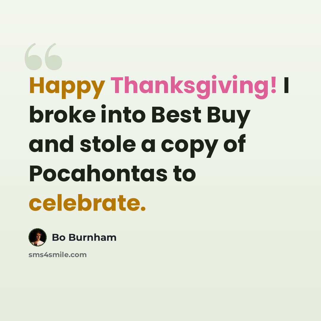 “Happy Thanksgiving! I broke into Best Buy and stole a copy of Pocahontas to celebrate.” quote by Bo Burnham