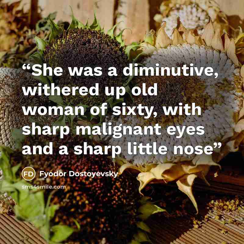 “She was a diminutive, withered up old woman of sixty, with sharp malignant eyes and a sharp little nose” quote by Fyodor Dostoyevsky