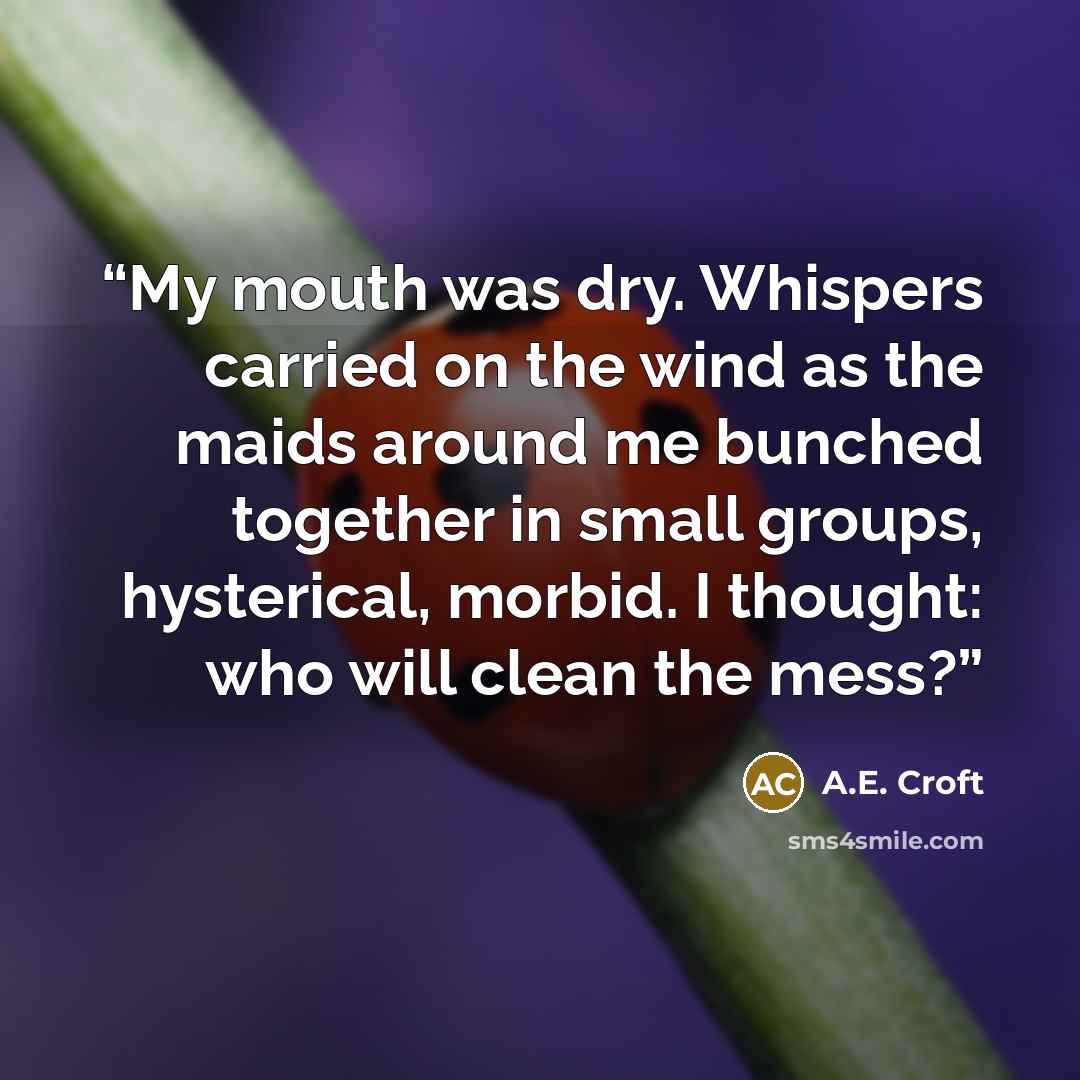 “My mouth was dry. Whispers carried on the wind as the maids around me bunched together in small groups, hysterical, morbid. I thought: who will clean the mess?” quote by A.E. Croft