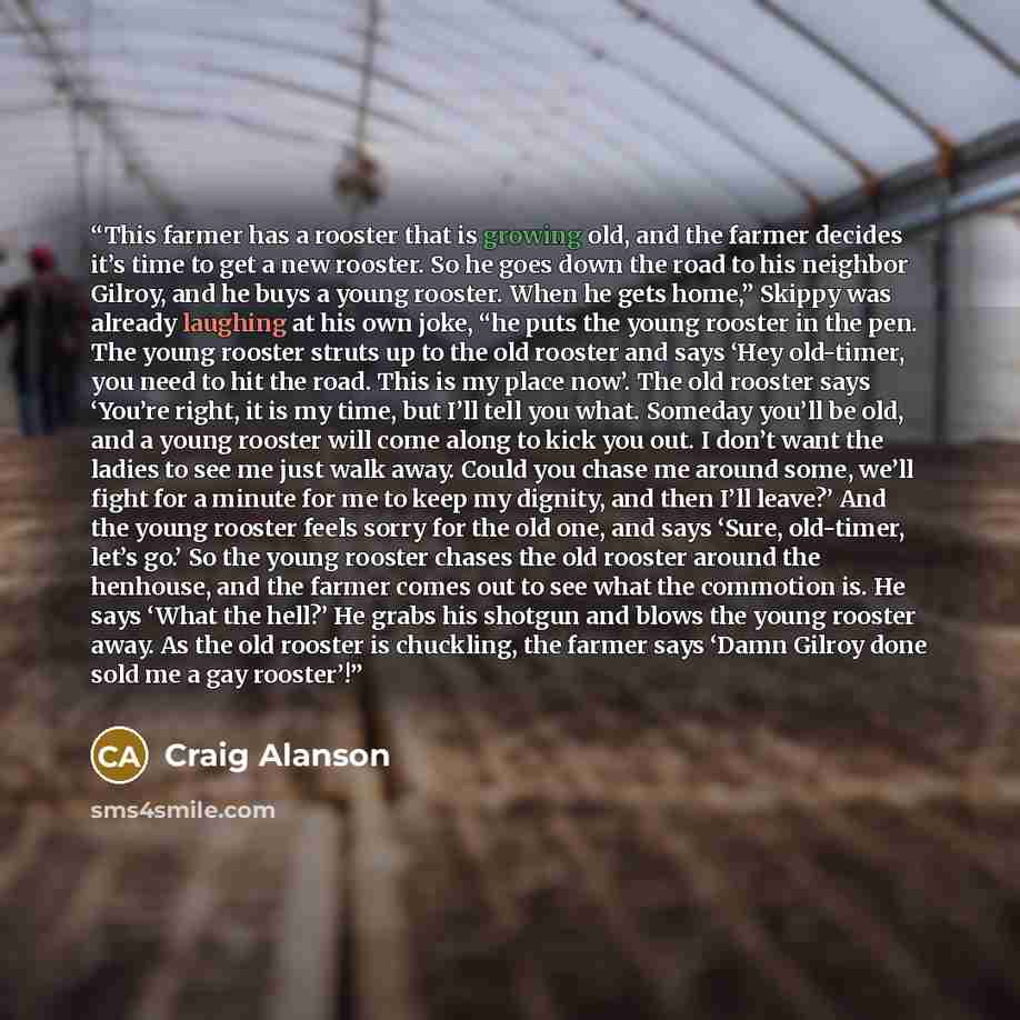 “This farmer has a rooster that is growing old, and the farmer decides it’s time to get a new rooster. So he goes down the road to his neighbor Gilroy, and he buys a young rooster. When he gets home,” Skippy was already laughing at his own joke, “he puts the young rooster in the pen. The young…” quote by Craig Alanson