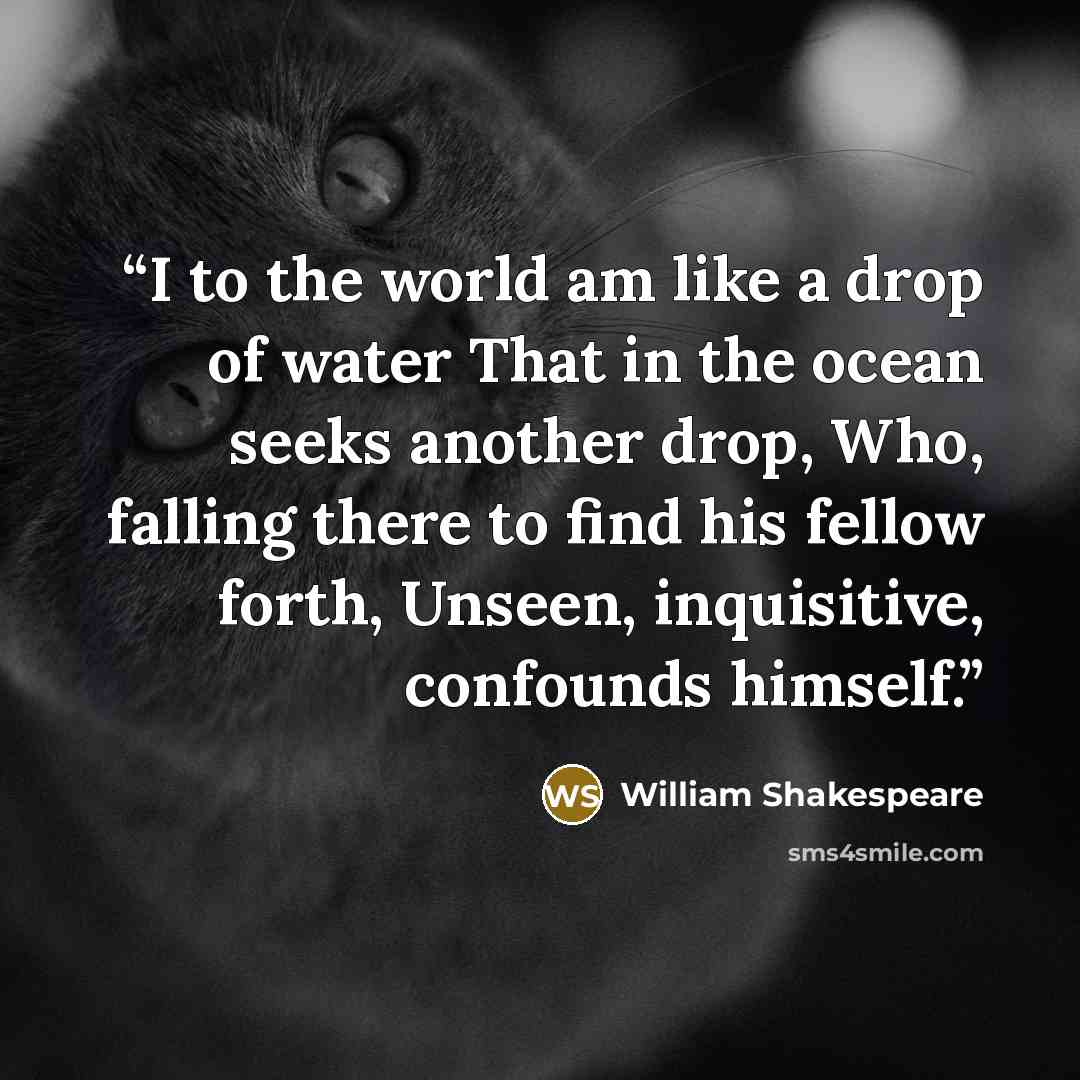 “I to the world am like a drop of water That in the ocean seeks another drop, Who, falling there to find his fellow forth, Unseen, inquisitive, confounds himself.” quote by William Shakespeare