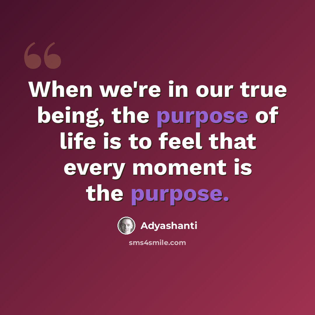 “When we're in our true being, the purpose of life is to feel that every moment is the purpose.” quote by Adyashanti
