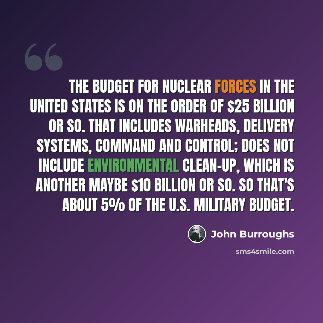 “The budget for nuclear forces in the United States is on the order of $25 billion or so. That includes warheads, delivery systems, command and control; does not include environmental clean-up, which is another maybe $10 billion or so. So that's about 5% of the U.S. military budget.” quote by John Burroughs