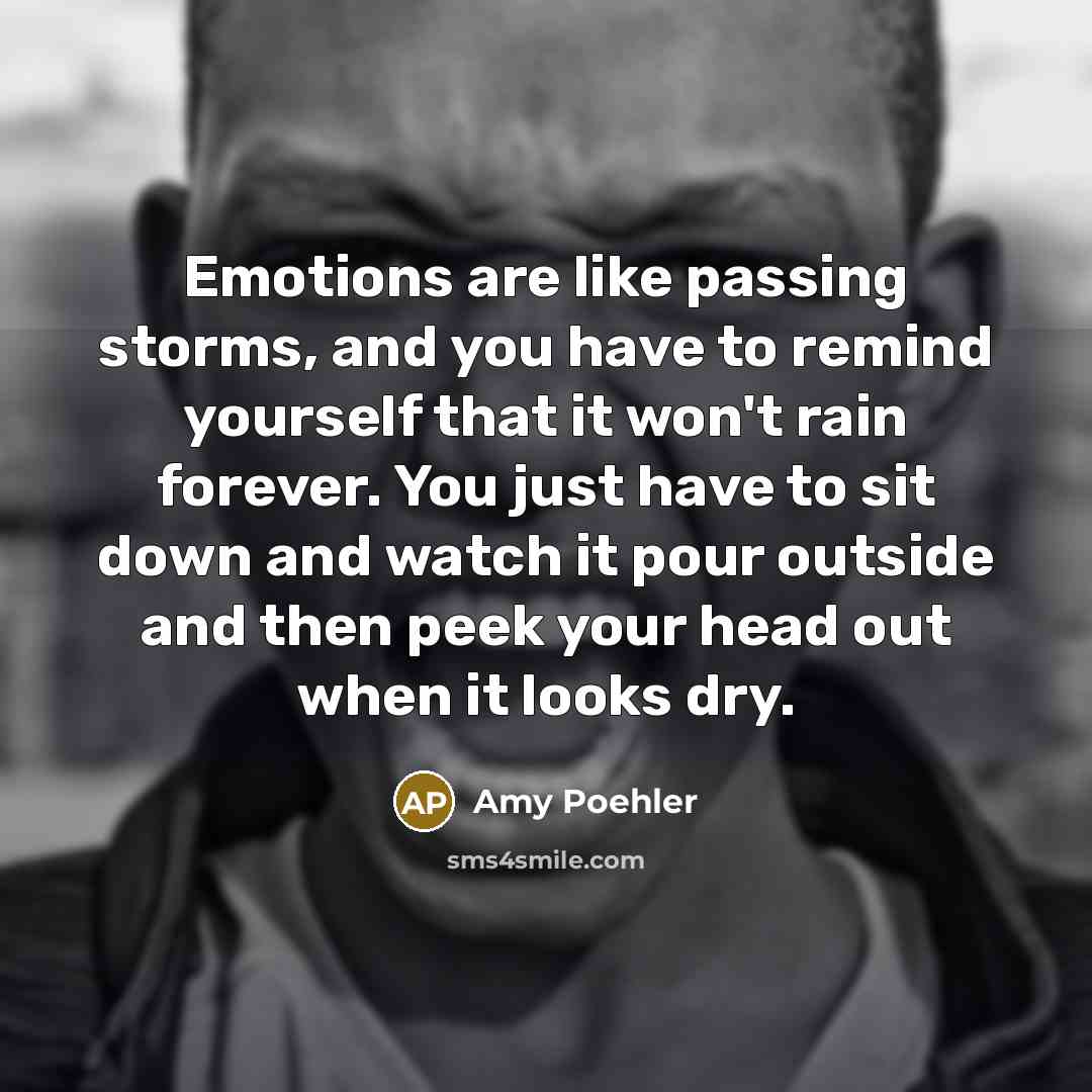 “Emotions are like passing storms, and you have to remind yourself that it won't rain forever. You just have to sit down and watch it pour outside and then peek your head out when it looks dry.” quote by Amy Poehler