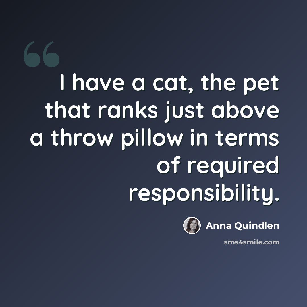 “I have a cat, the pet that ranks just above a throw pillow in terms of required responsibility.” quote by Anna Quindlen