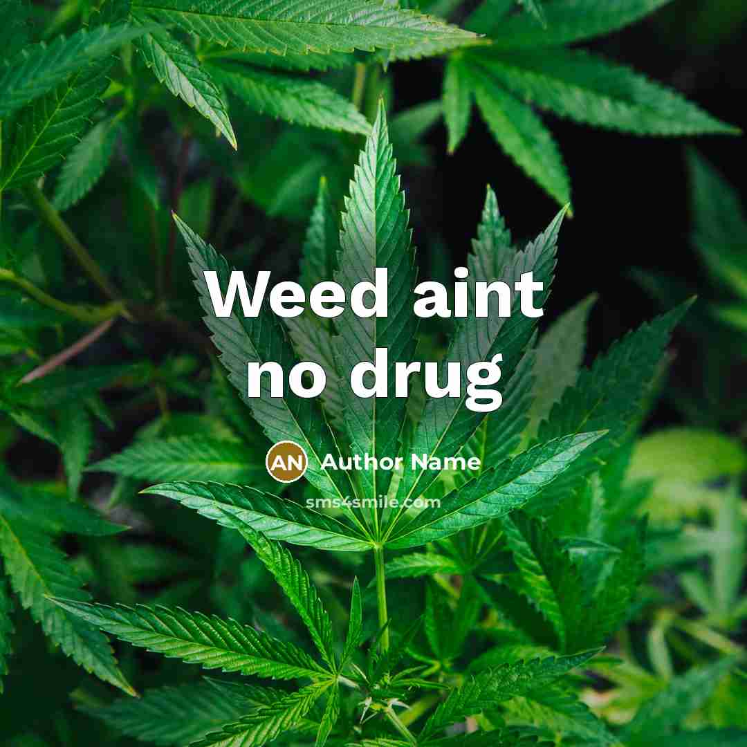 “Weed aint no drug” quote by Author Name