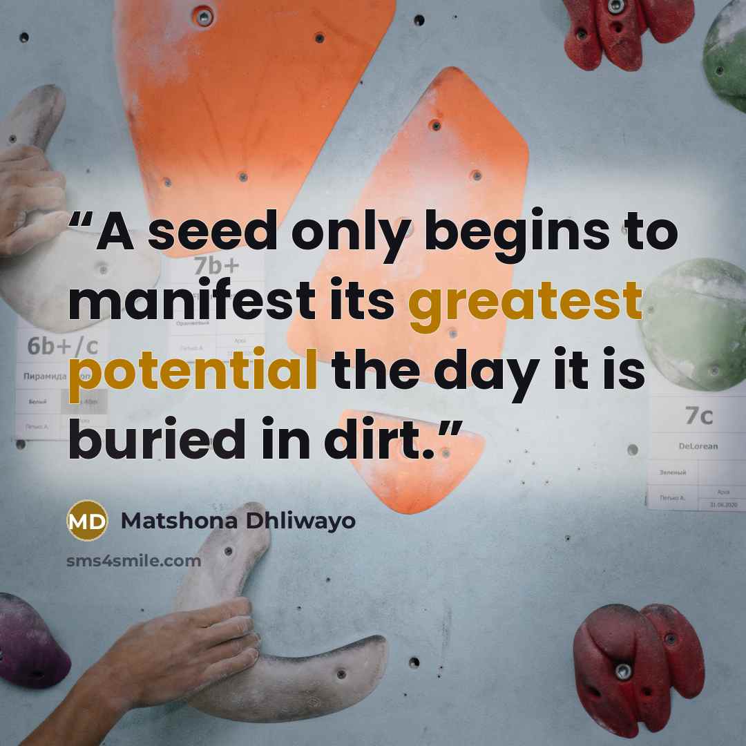 “A seed only begins to manifest its greatest potential the day it is buried in dirt.” quote by Matshona Dhliwayo