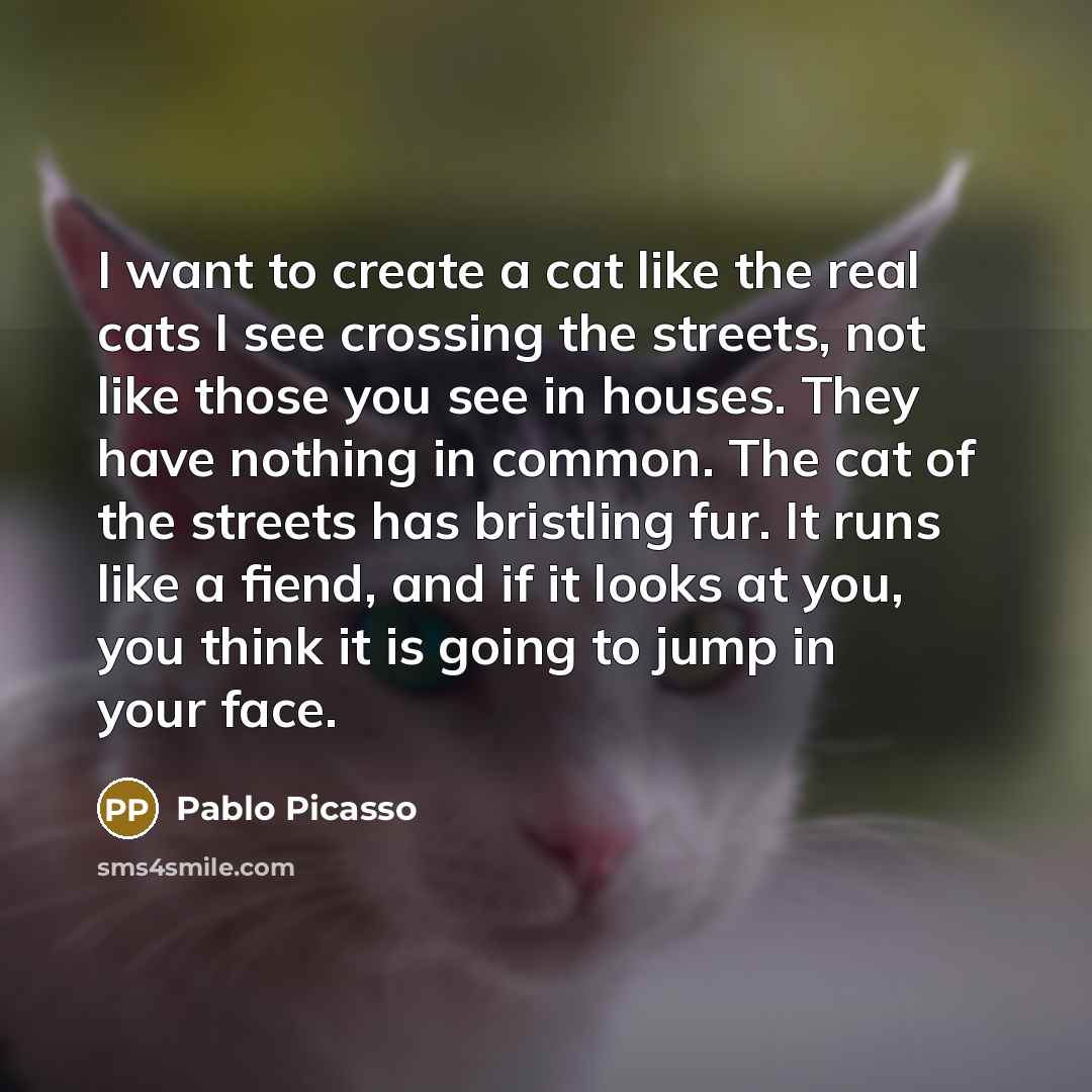 “I want to create a cat like the real cats I see crossing the streets, not like those you see in houses. They have nothing in common. The cat of the streets has bristling fur. It runs like a fiend, and if it looks at you, you think it is going to jump in your face.” quote by Pablo Picasso