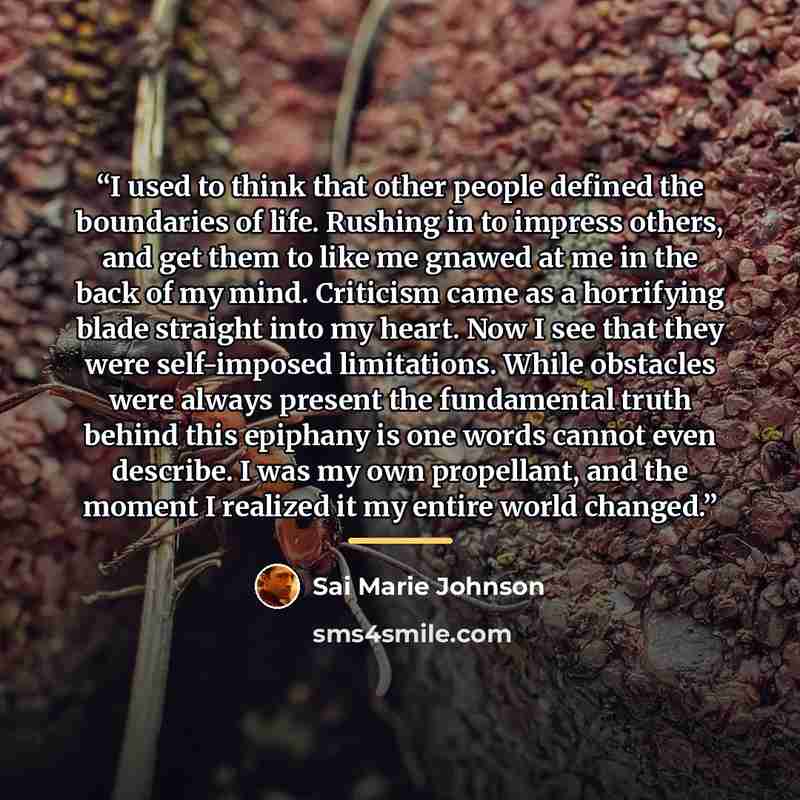 “I used to think that other people defined the boundaries of life. Rushing in to impress others, and get them to like me gnawed at me in the back of my mind. Criticism came as a horrifying blade straight into my heart. Now I see that they were self-imposed limitations. While obstacles were always…” quote by Sai Marie Johnson