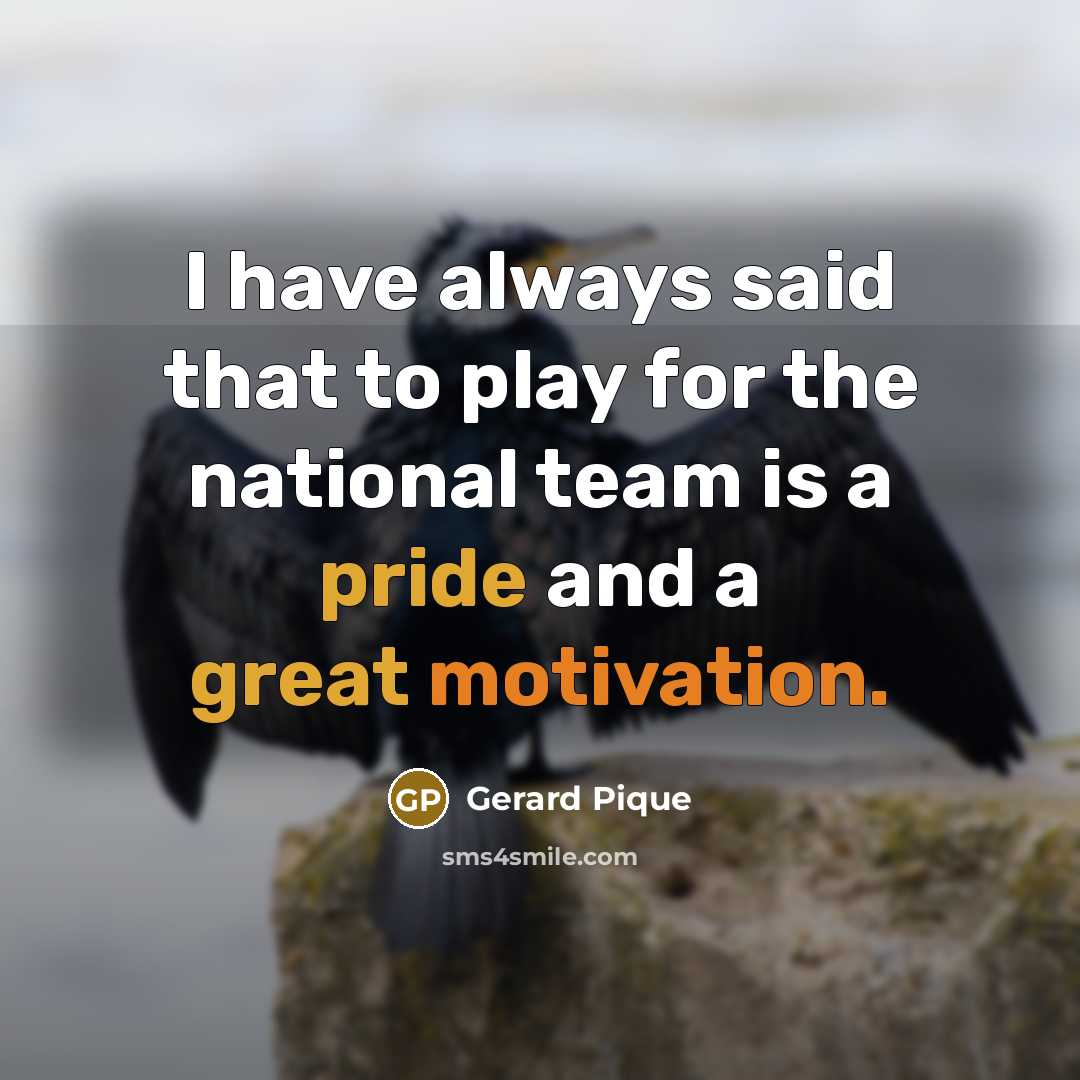 “I have always said that to play for the national team is a pride and a great motivation.” quote by Gerard Pique