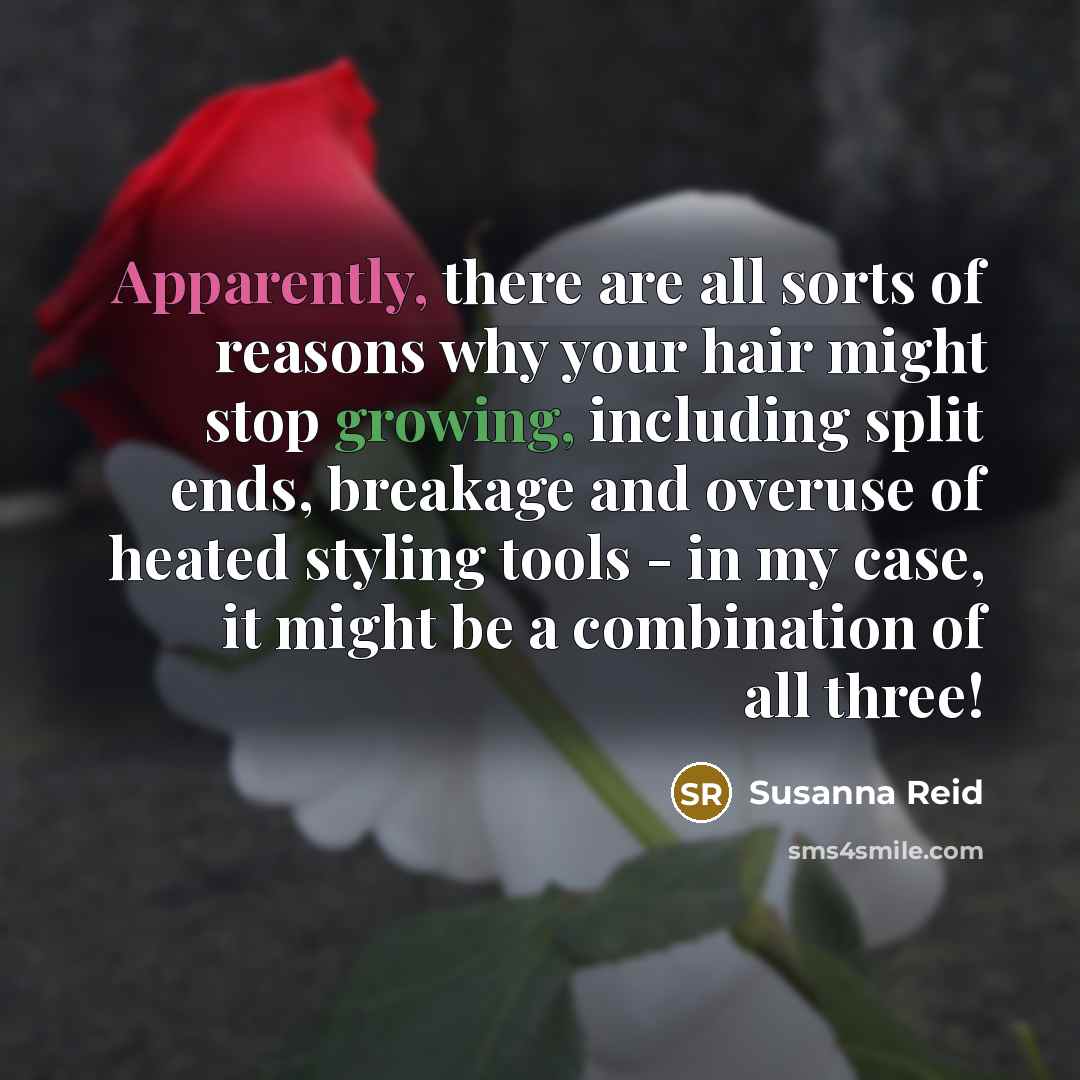 “Apparently, there are all sorts of reasons why your hair might stop growing, including split ends, breakage and overuse of heated styling tools - in my case, it might be a combination of all three!” quote by Susanna Reid