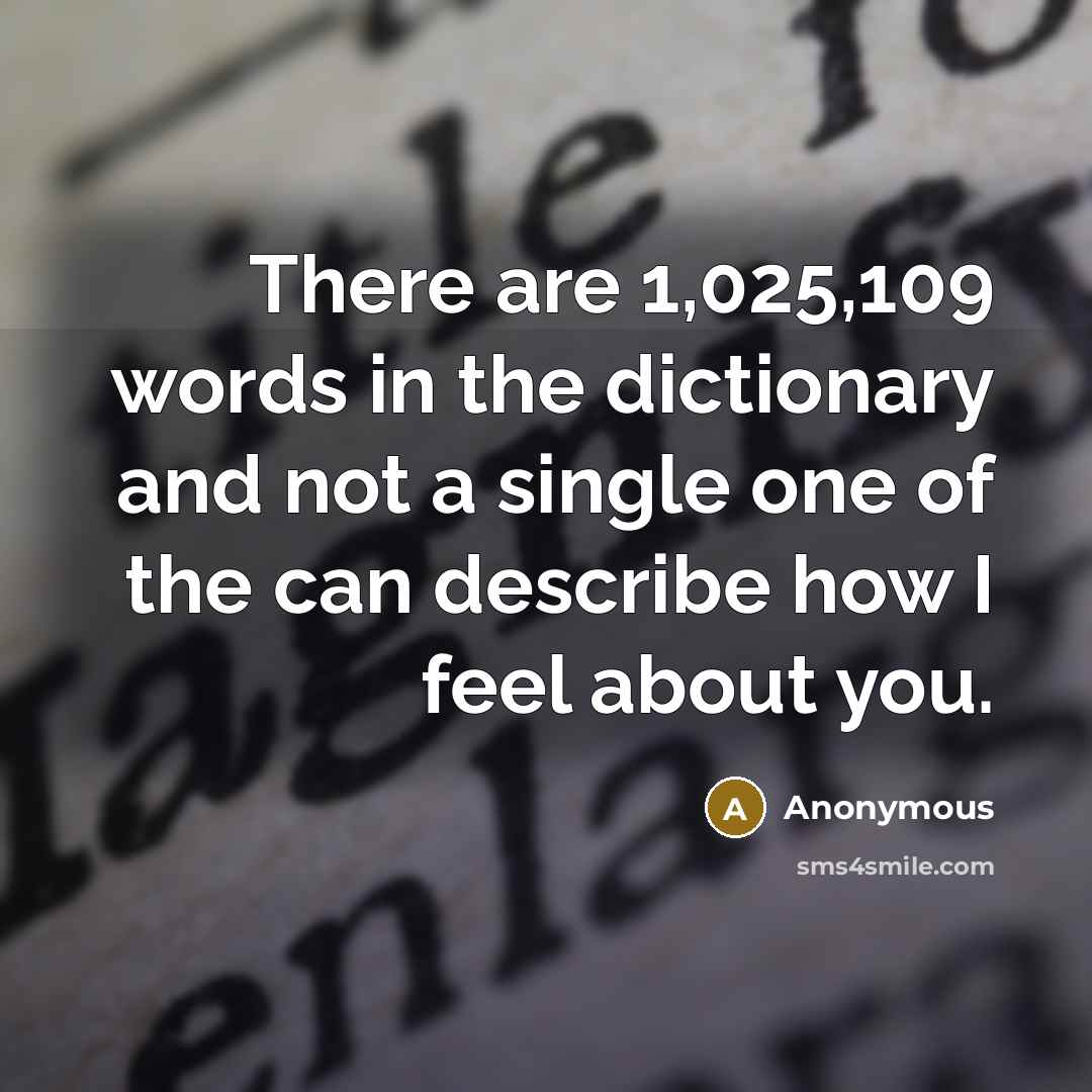 “There are 1,025,109 words in the dictionary and not a single one of the can describe how I feel about you.” quote by Anonymous