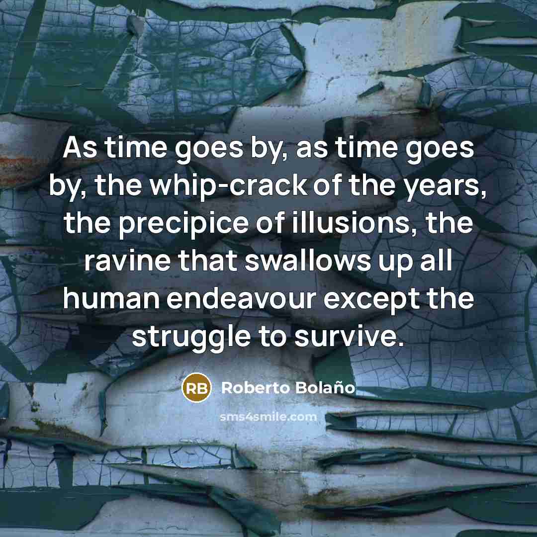 “As time goes by, as time goes by, the whip-crack of the years, the precipice of illusions, the ravine that swallows up all human endeavour except the struggle to survive.” quote by Roberto Bolano