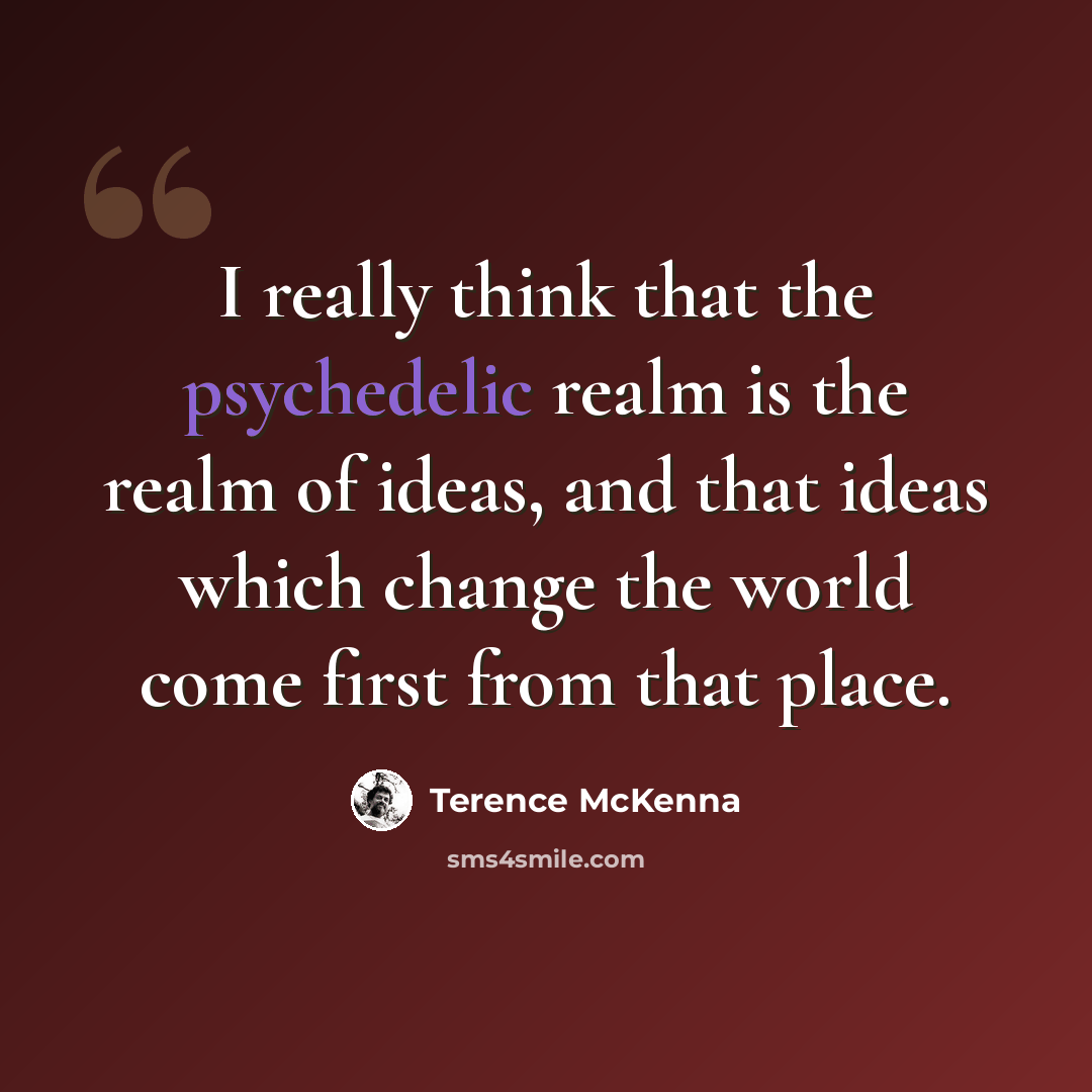 “I really think that the psychedelic realm is the realm of ideas, and that ideas which change the world come first from that place.” quote by Terence McKenna