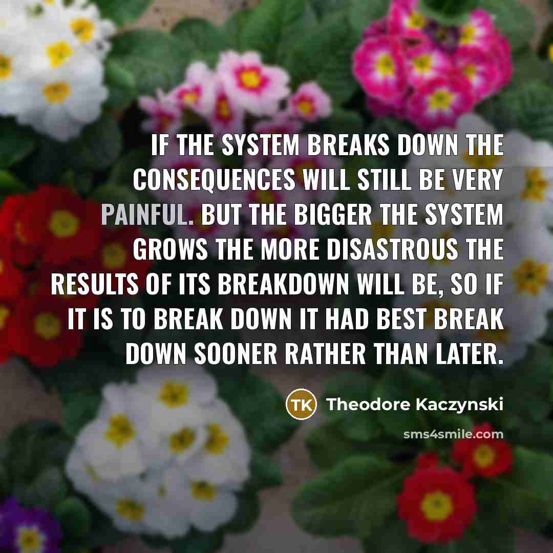 “If the system breaks down the consequences will still be very painful. But the bigger the system grows the more disastrous the results of its breakdown will be, so if it is to break down it had best break down sooner rather than later.” quote by Theodore Kaczynski