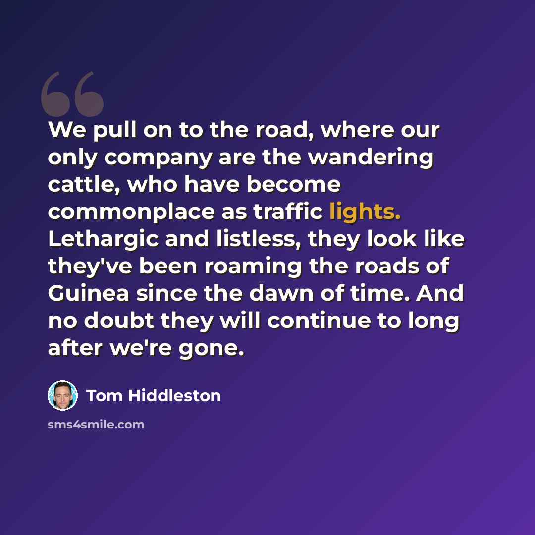 “We pull on to the road, where our only company are the wandering cattle, who have become commonplace as traffic lights. Lethargic and listless, they look like they've been roaming the roads of Guinea since the dawn of time. And no doubt they will continue to long after we're gone.” quote by Tom Hiddleston