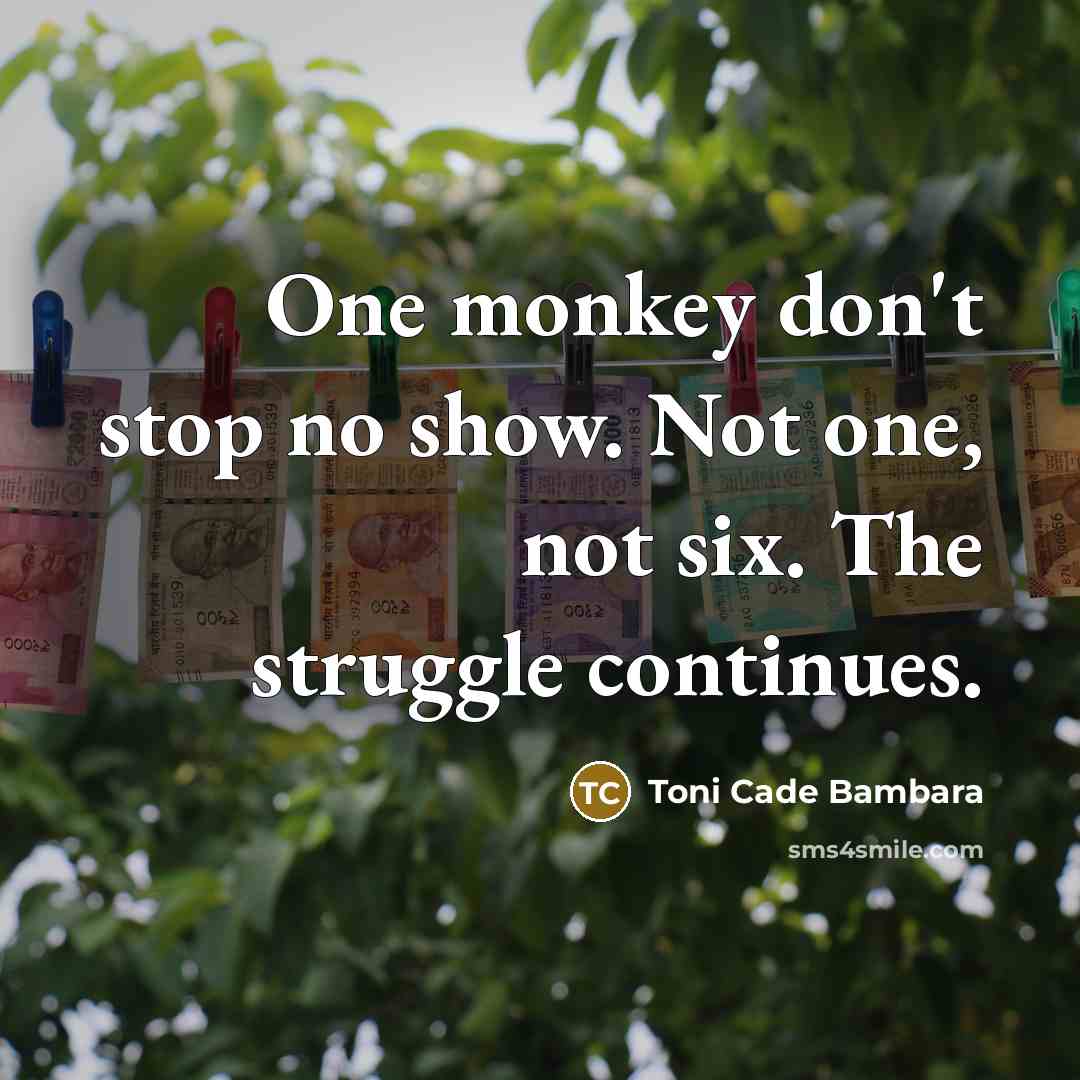 “One monkey don't stop no show. Not one, not six. The struggle continues.” quote by Toni Cade Bambara