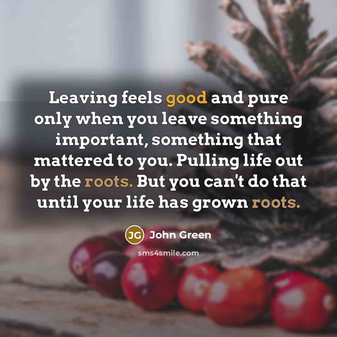 “Leaving feels good and pure only when you leave something important, something that mattered to you. Pulling life out by the roots. But you can't do that until your life has grown roots.” quote by John Green