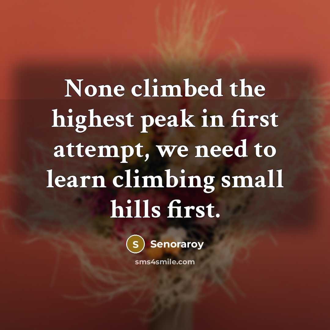 “None climbed the highest peak in first attempt, we need to learn climbing small hills first.” quote by Senoraroy