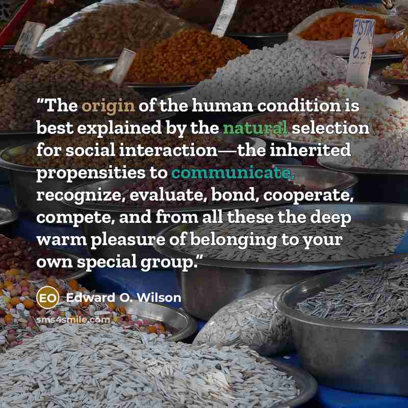 “The origin of the human condition is best explained by the natural selection for social interaction—the inherited propensities to communicate, recognize, evaluate, bond, cooperate, compete, and from all these the deep warm pleasure of belonging to your own special group.” quote by Edward O. Wilson