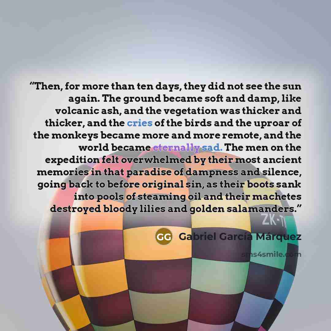 “Then, for more than ten days, they did not see the sun again. The ground became soft and damp, like volcanic ash, and the vegetation was thicker and thicker, and the cries of the birds and the uproar of the monkeys became more and more remote, and the world became eternally sad. The men on the…” quote by Gabriel García Márquez