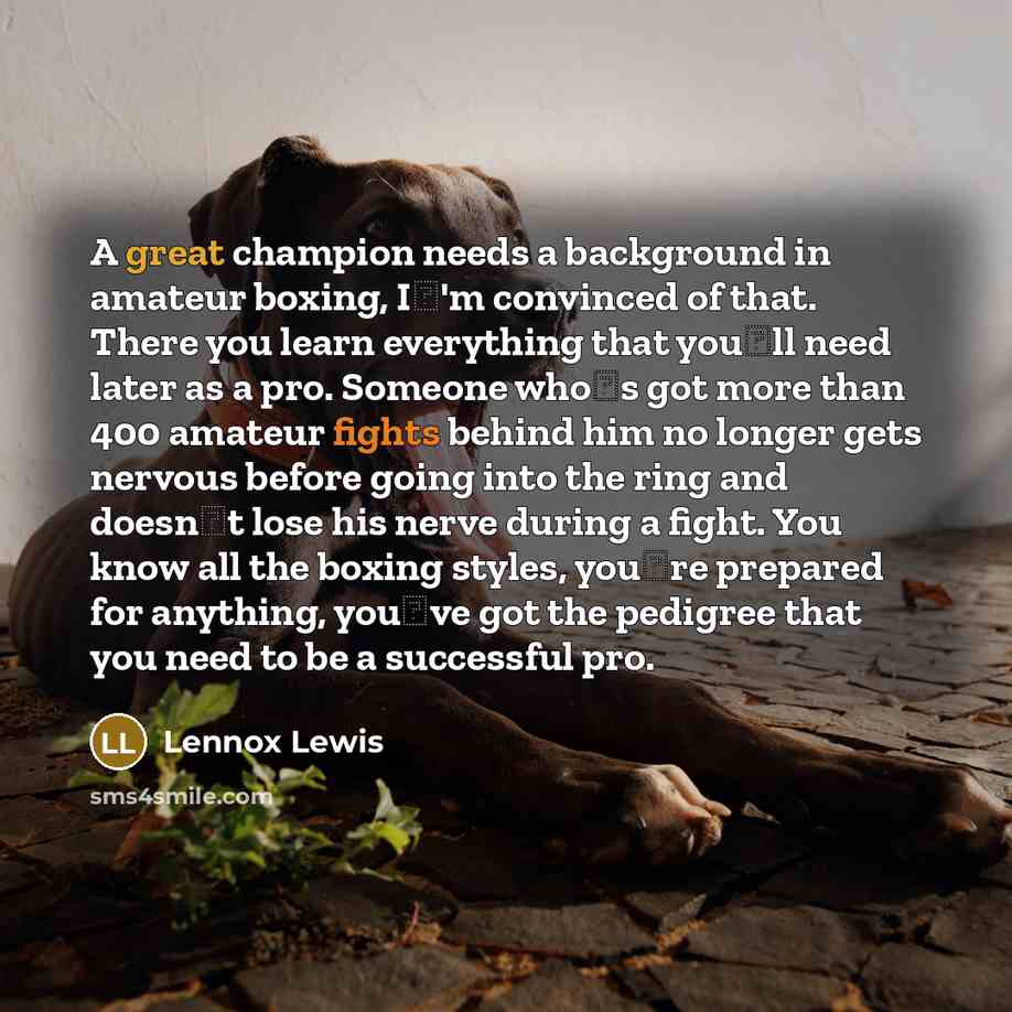“A great champion needs a background in amateur boxing, I'm convinced of that. There you learn everything that youll need later as a pro. Someone whos got more than 400 amateur fights behind him no longer gets nervous before going into the ring and doesnt lose his nerve during a fight. You know…” quote by Lennox Lewis