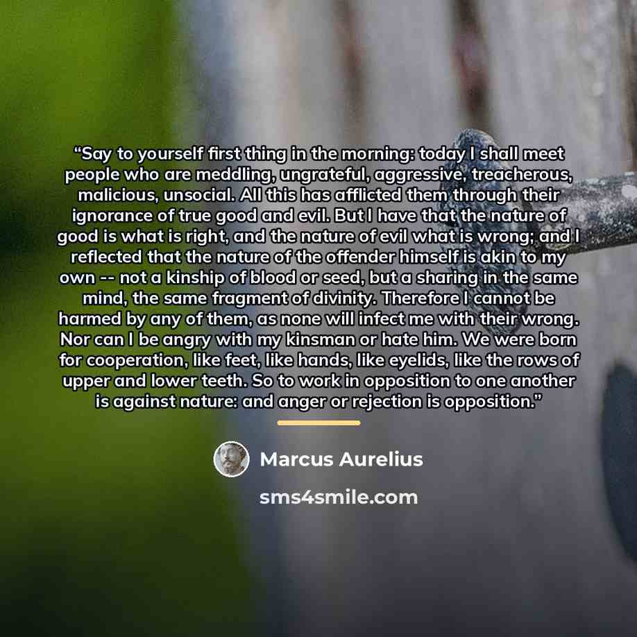 “Say to yourself first thing in the morning: today I shall meet people who are meddling, ungrateful, aggressive, treacherous, malicious, unsocial. All this has afflicted them through their ignorance of true good and evil. But I have that the nature of good is what is right, and the nature of evil…” quote by Marcus Aurelius