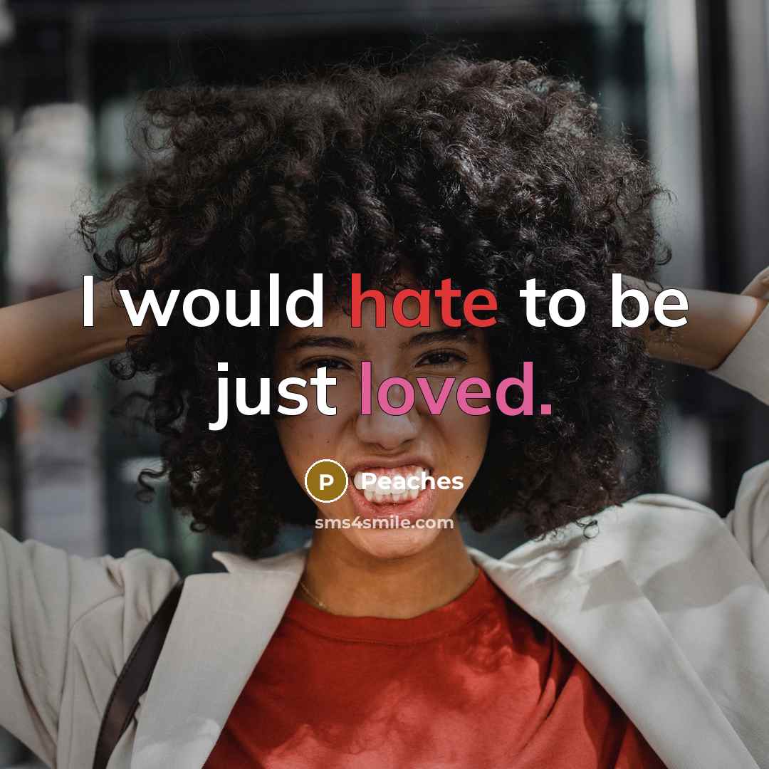 “I would hate to be just loved.” quote by Peaches