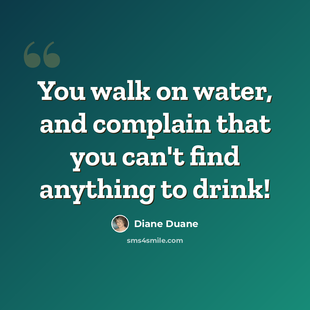 “You walk on water, and complain that you can't find anything to drink!” quote by Diane Duane