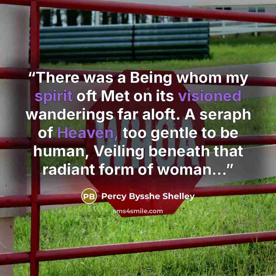 “There was a Being whom my spirit oft Met on its visioned wanderings far aloft. A seraph of Heaven, too gentle to be human, Veiling beneath that radiant form of woman…” quote by Percy Bysshe Shelley