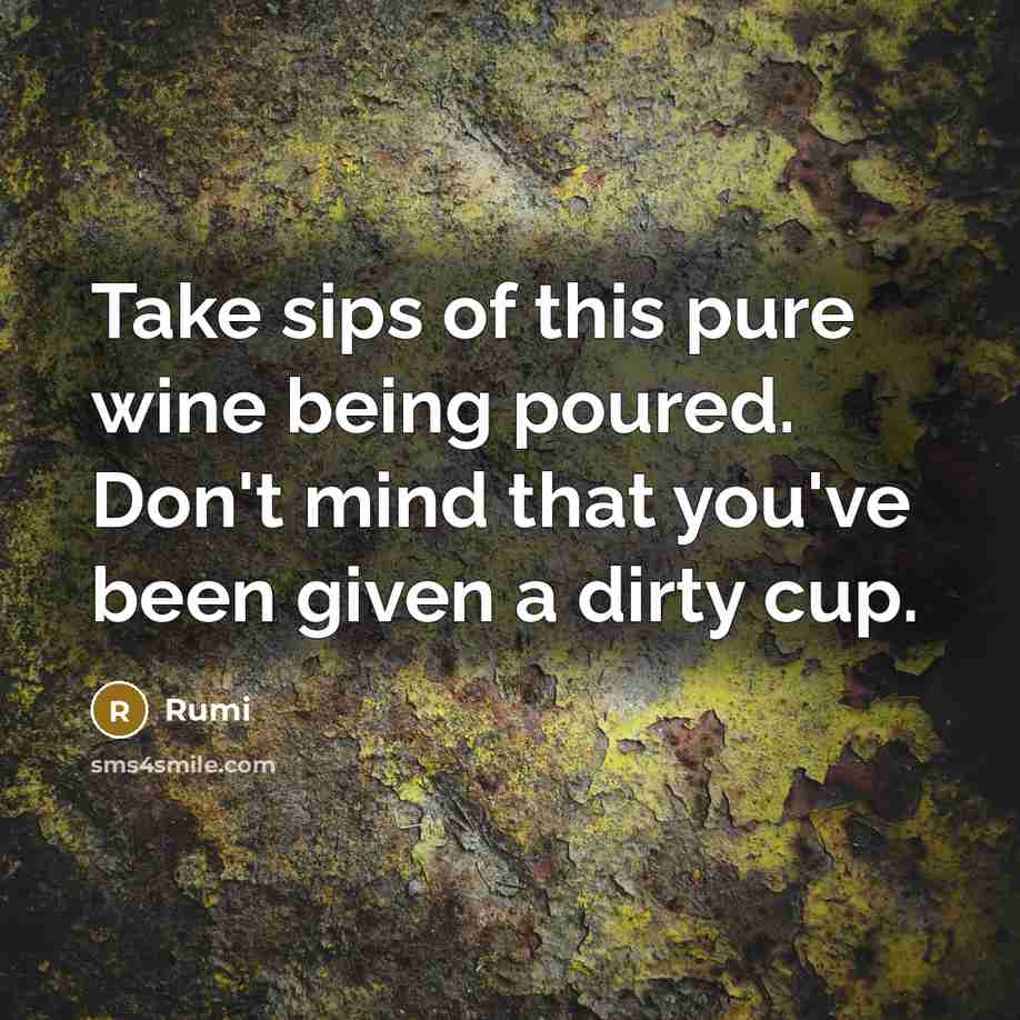 “Take sips of this pure wine being poured. Don't mind that you've been given a dirty cup.” quote by Rumi