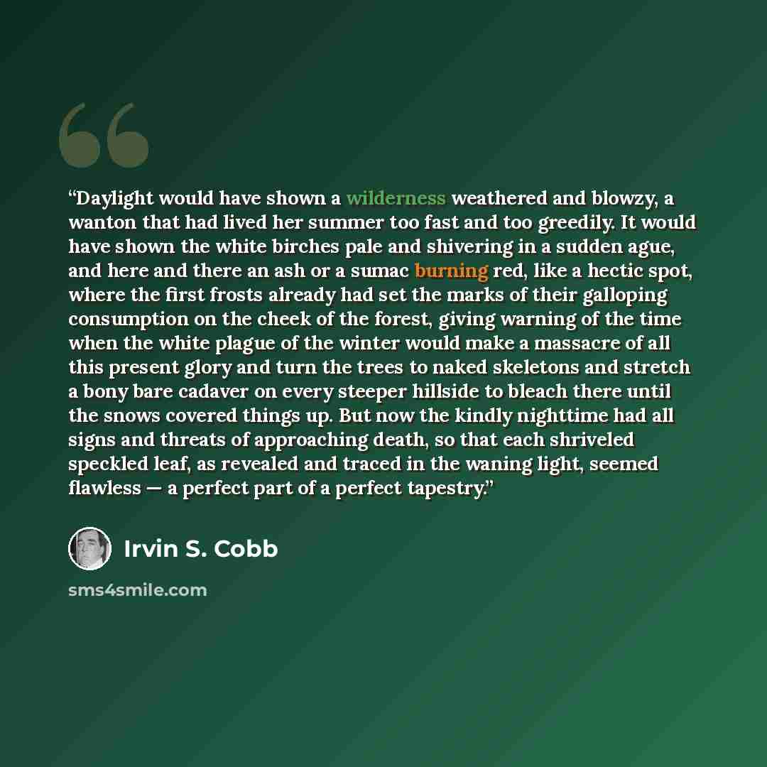 “Daylight would have shown a wilderness weathered and blowzy, a wanton that had lived her summer too fast and too greedily. It would have shown the white birches pale and shivering in a sudden ague, and here and there an ash or a sumac burning red, like a hectic spot, where the first frosts already…” quote by Irvin S. Cobb