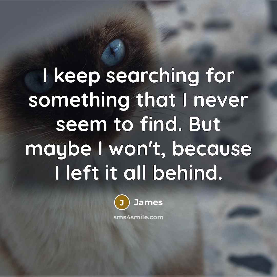 “I keep searching for something that I never seem to find. But maybe I won't, because I left it all behind.” quote by James