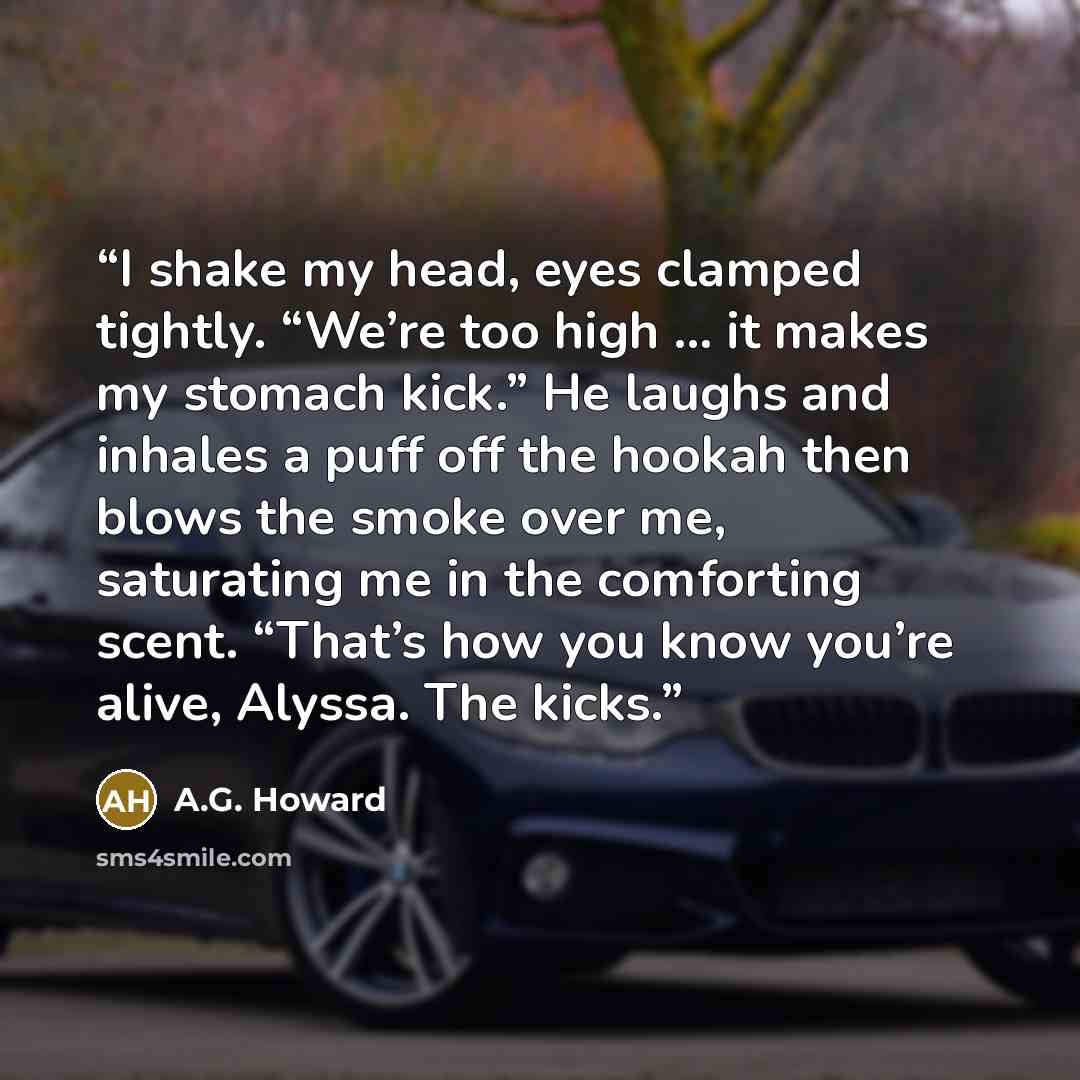 “I shake my head, eyes clamped tightly. “We’re too high … it makes my stomach kick.” He laughs and inhales a puff off the hookah then blows the smoke over me, saturating me in the comforting scent. “That’s how you know you’re alive, Alyssa. The kicks.” quote by A.G. Howard