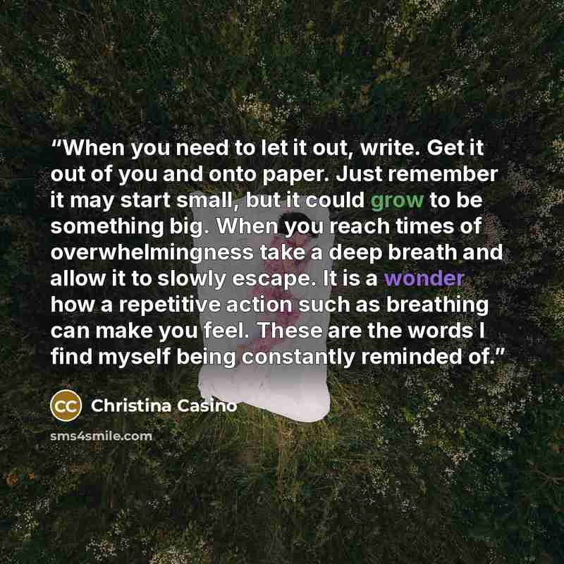 “When you need to let it out, write. Get it out of you and onto paper. Just remember it may start small, but it could grow to be something big. When you reach times of overwhelmingness take a deep breath and allow it to slowly escape. It is a wonder how a repetitive action such as breathing can…” quote by Christina Casino