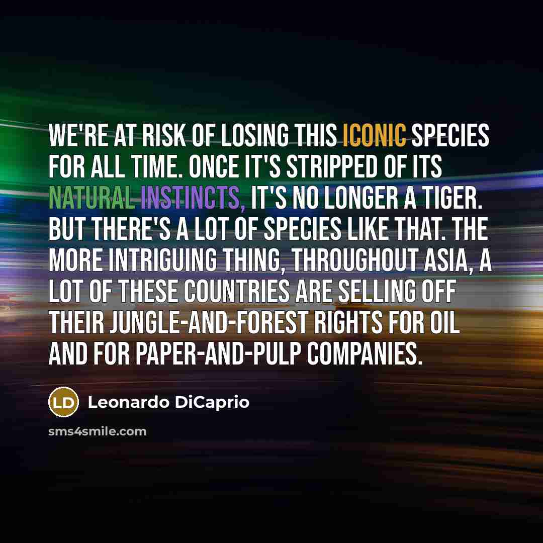“We're at risk of losing this iconic species for all time. Once it's stripped of its natural instincts, it's no longer a tiger. But there's a lot of species like that. The more intriguing thing, throughout Asia, a lot of these countries are selling off their jungle-and-forest rights for oil and for…” quote by Leonardo DiCaprio