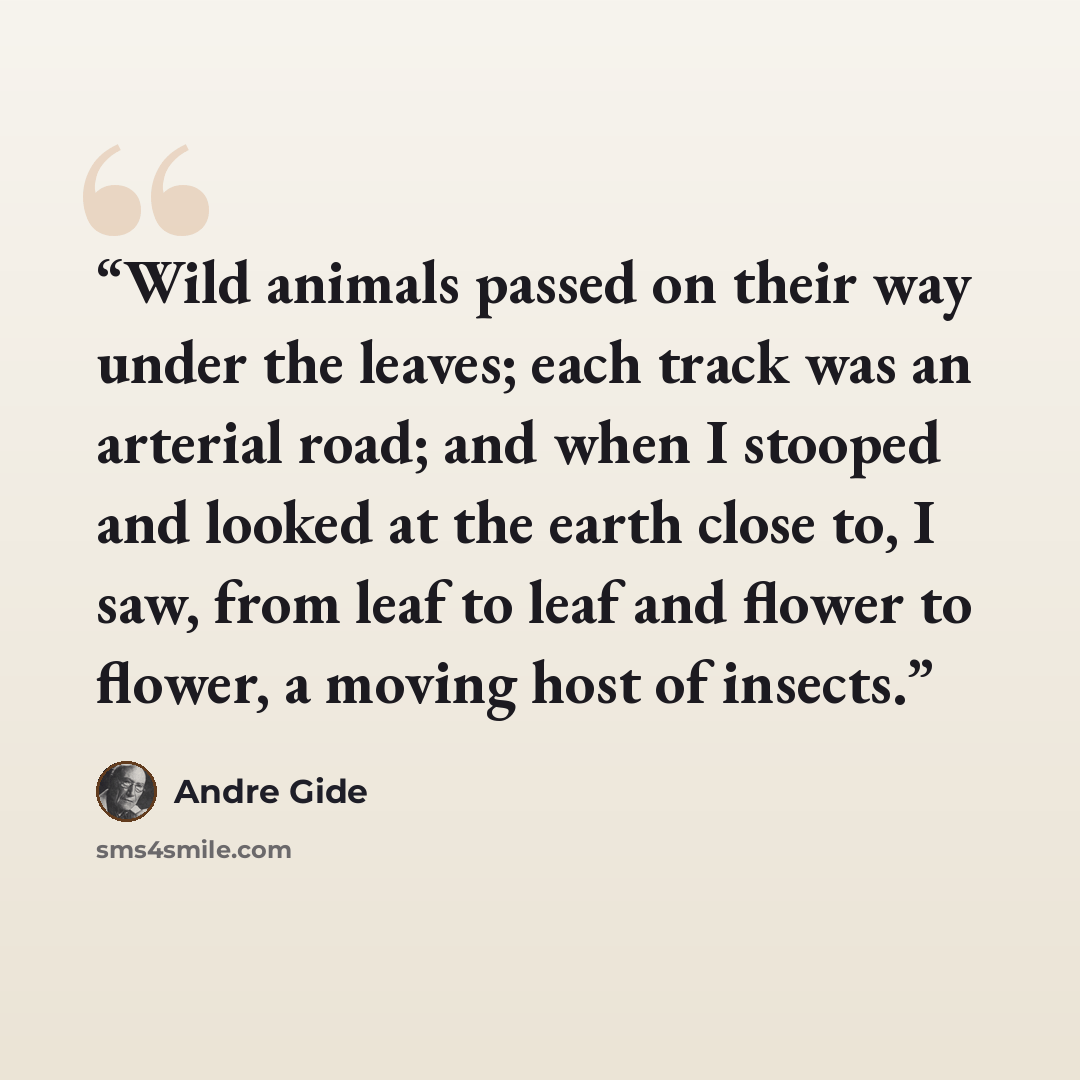 “Wild animals passed on their way under the leaves; each track was an arterial road; and when I stooped and looked at the earth close to, I saw, from leaf to leaf and flower to flower, a moving host of insects.” quote by André Gide