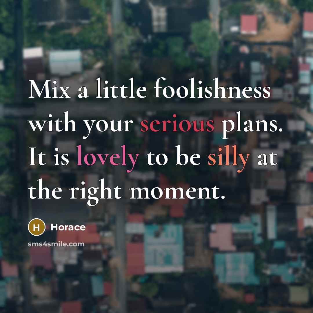 “Mix a little foolishness with your serious plans. It is lovely to be silly at the right moment.” quote by Horace