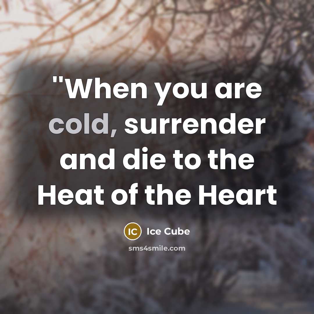 “''When you are cold, surrender and die to the Heat of the Heart” quote by Ice Cube