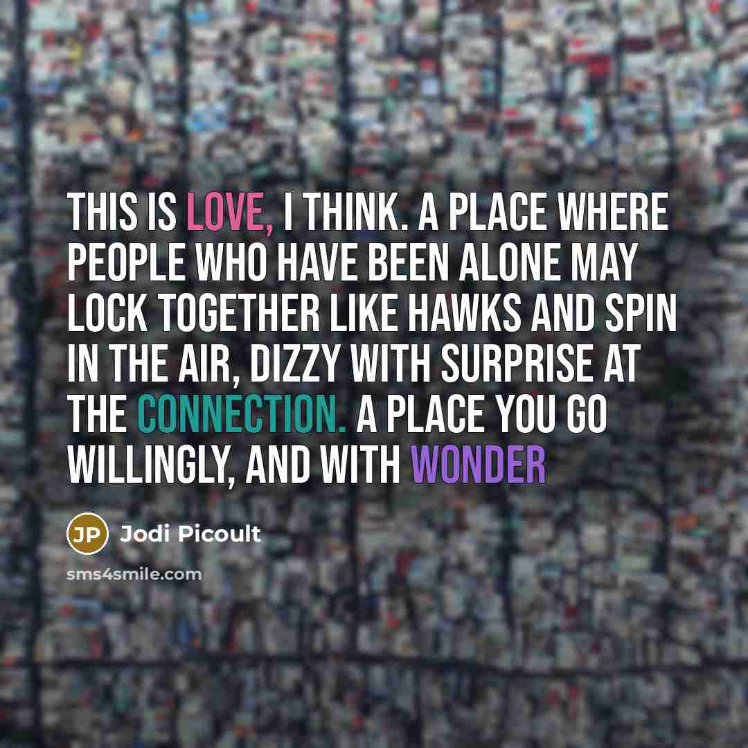 “This is love, I think. A place where people who have been alone may lock together like hawks and spin in the air, dizzy with surprise at the connection. A place you go willingly, and with wonder” quote by Jodi Picoult