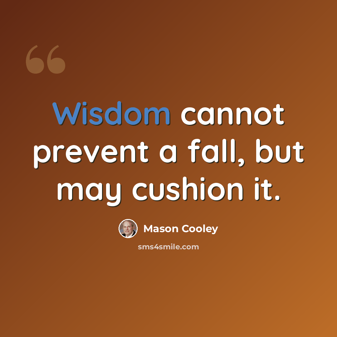 “Wisdom cannot prevent a fall, but may cushion it.” quote by Mason Cooley
