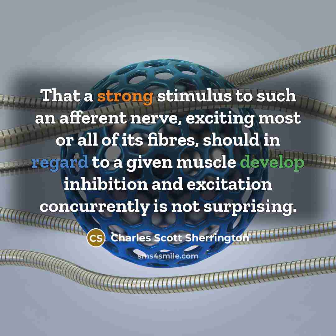 “That a strong stimulus to such an afferent nerve, exciting most or all of its fibres, should in regard to a given muscle develop inhibition and excitation concurrently is not surprising.” quote by Charles Scott Sherrington