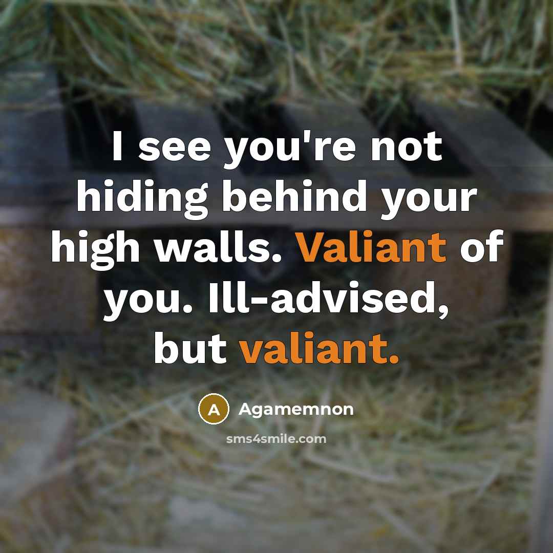 “I see you're not hiding behind your high walls. Valiant of you. Ill-advised, but valiant.” quote by Agamemnon