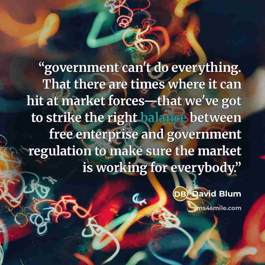 “government can't do everything. That there are times where it can hit at market forces—that we've got to strike the right balance between free enterprise and government regulation to make sure the market is working for everybody.” quote by David Blum